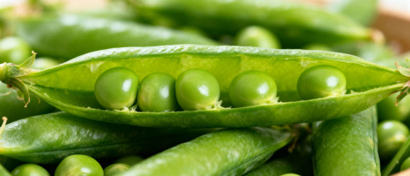 新鲜豌豆荚图片
