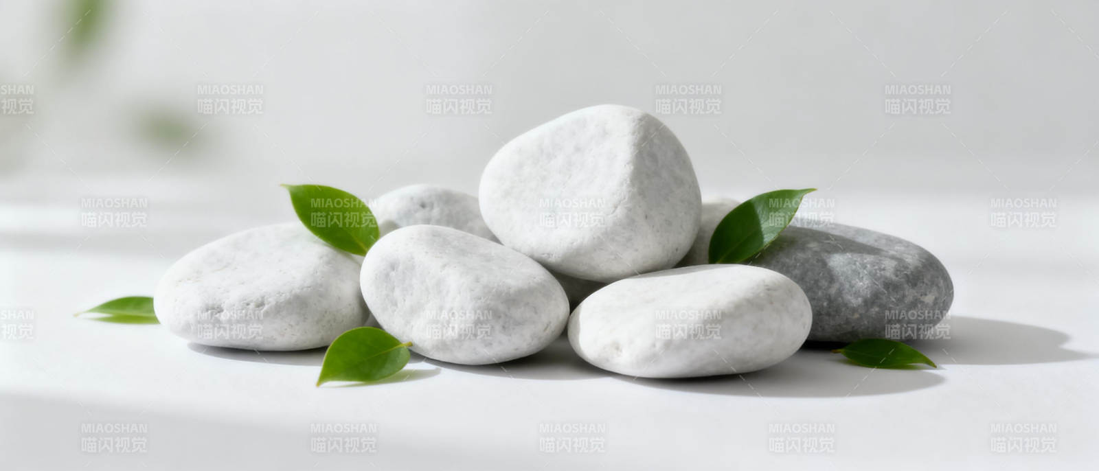 禅意石与绿叶图片