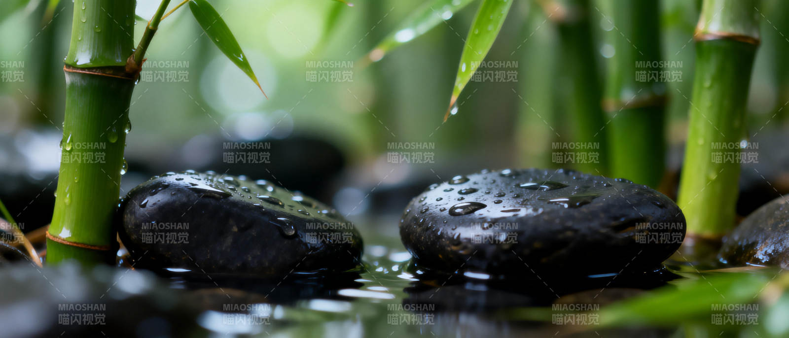 竹影水石静谧景图片