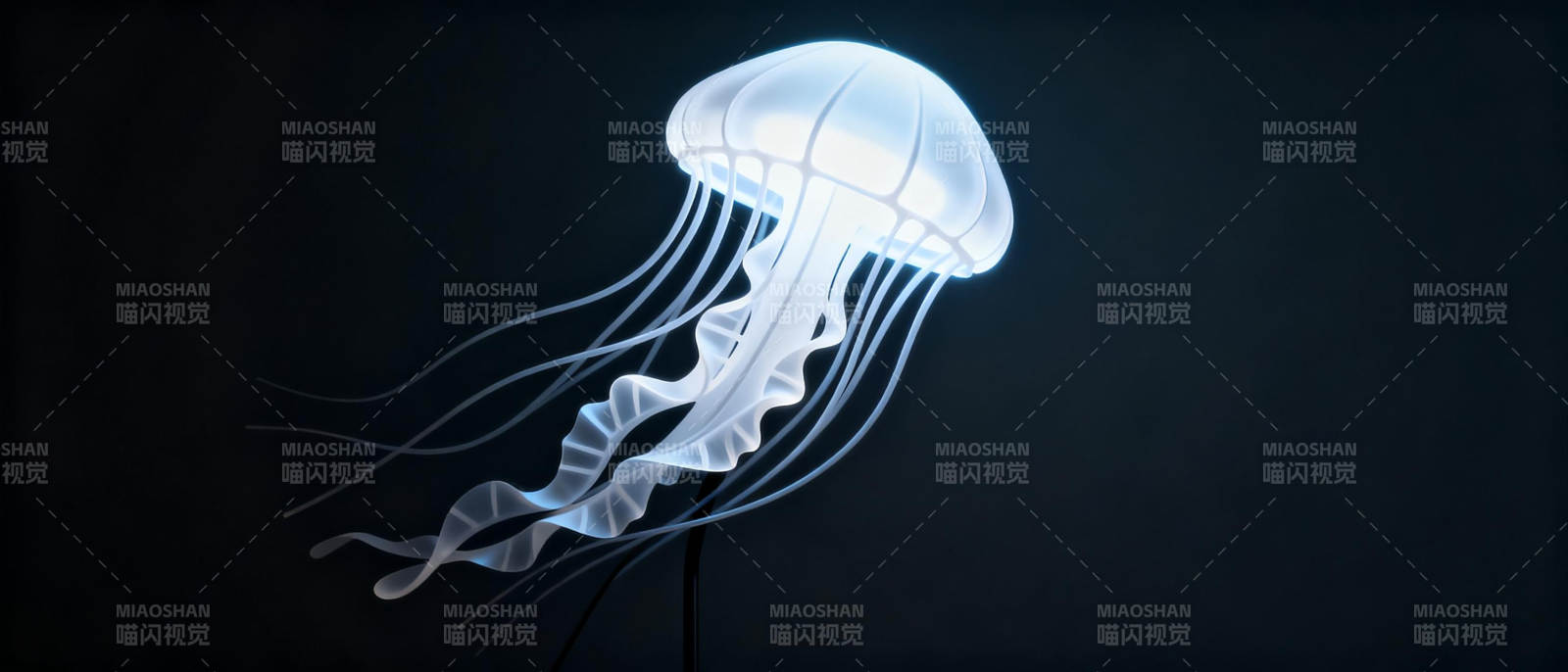 发光水母漂浮夜色图片
