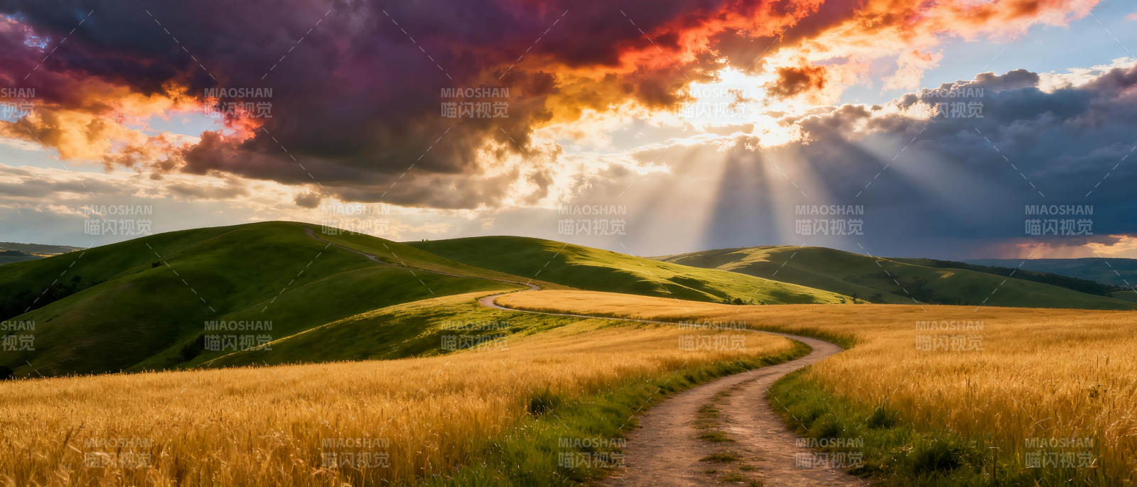 金色麦田夕阳路图片