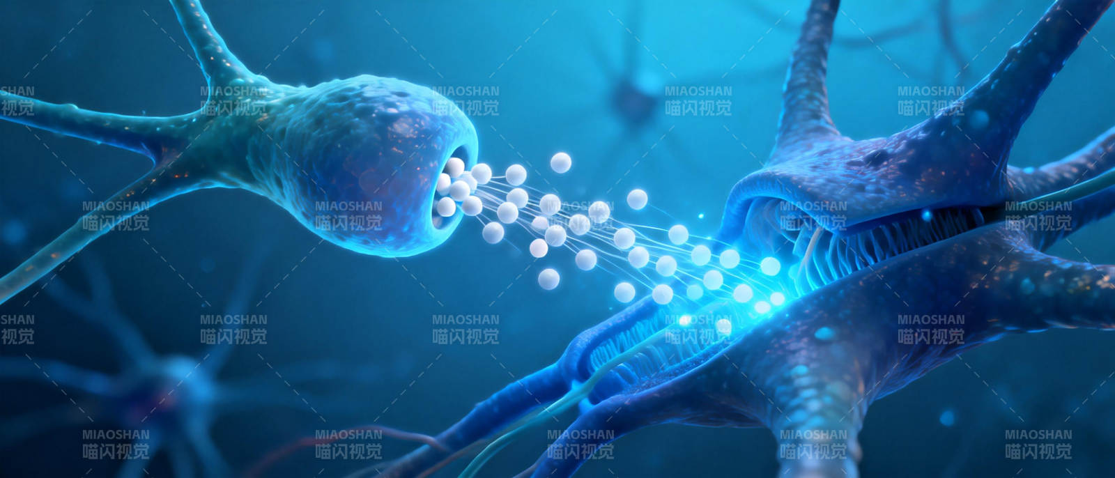 神经元传递信号图片