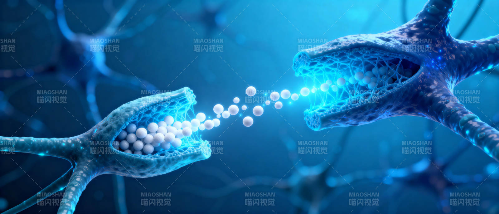神经元传递信号图片