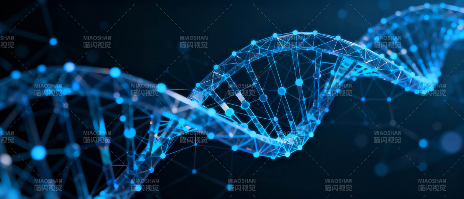 DNA双螺旋结构图片
