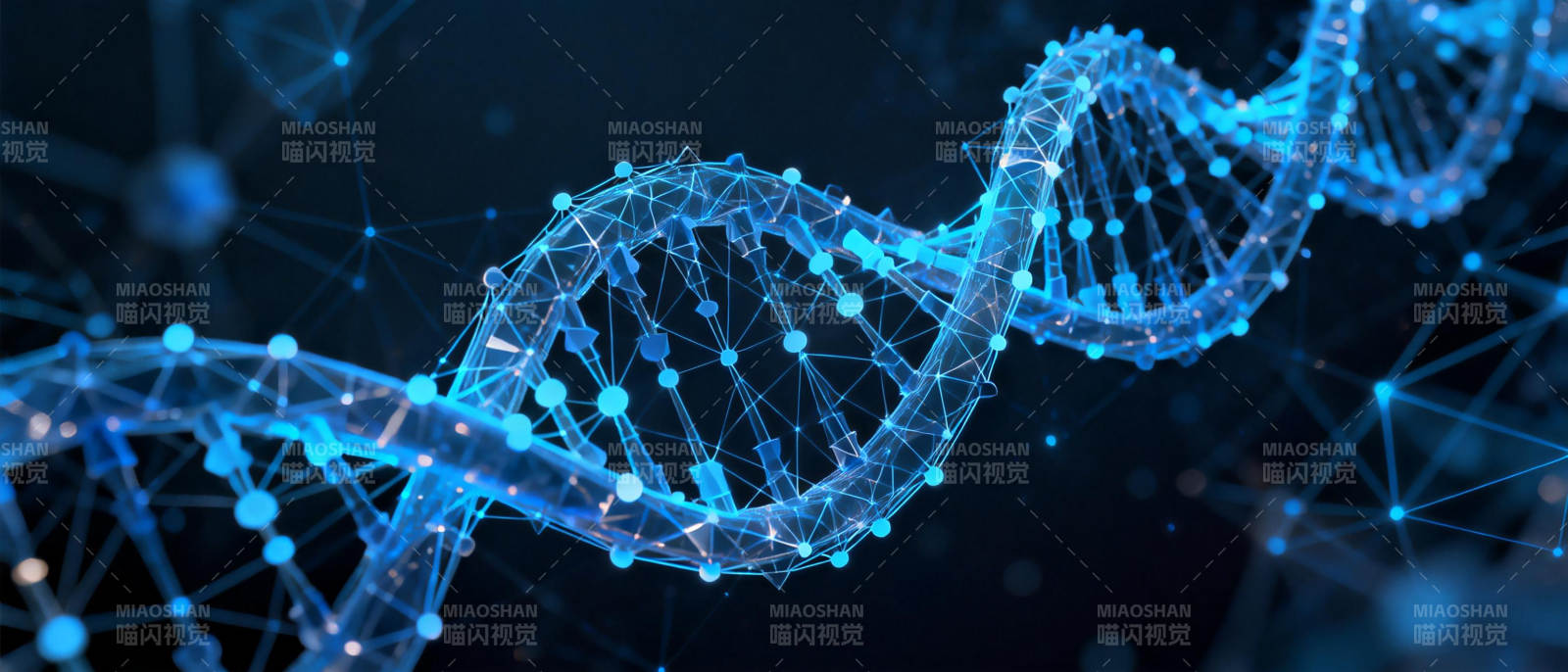 DNA双螺旋结构图片