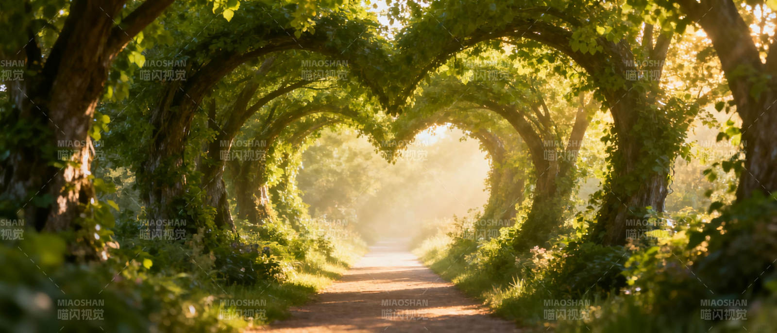 心形林荫道图片