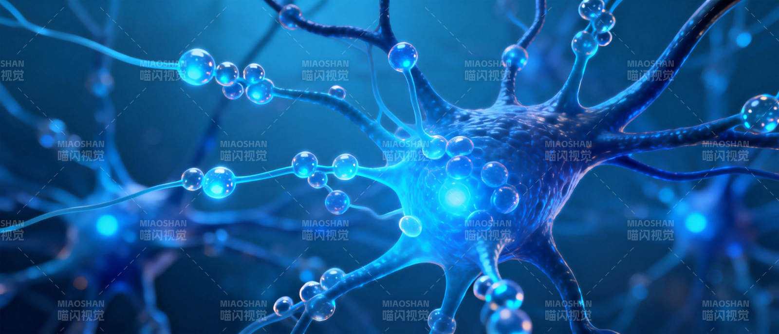 神经元连接图图片