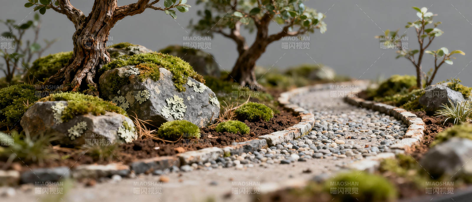 微型园林景致图片