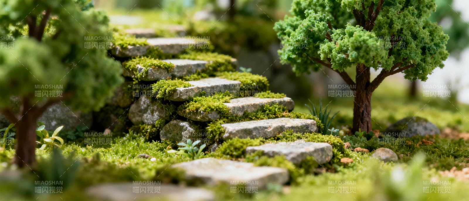 石阶幽径 绿意盎然图片