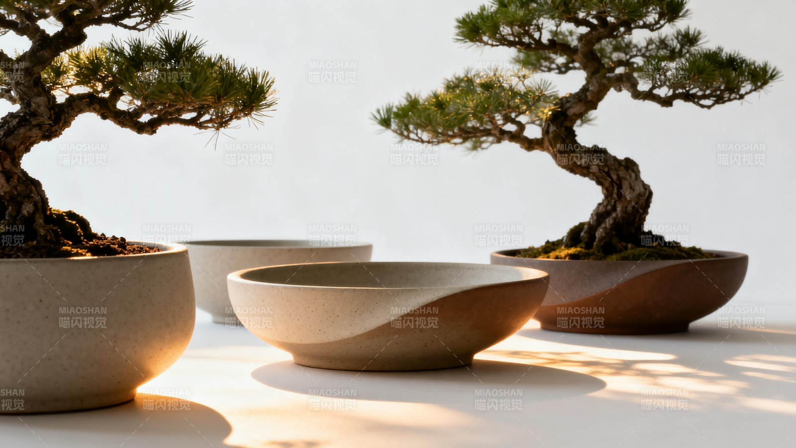 盆景静谧之美图片