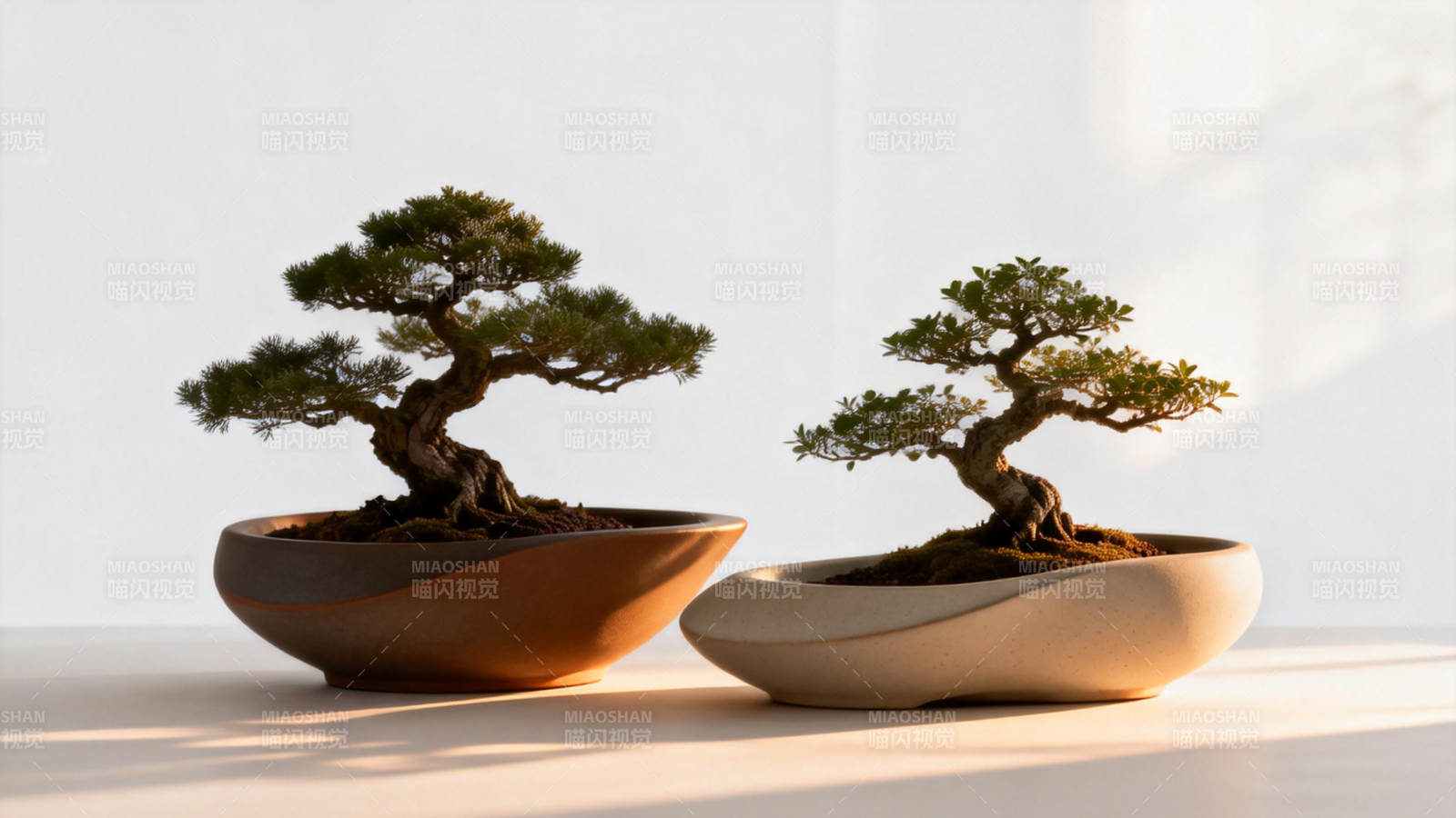 盆景静谧之美图片