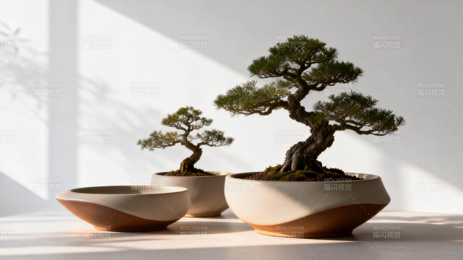 盆景静谧之美图片