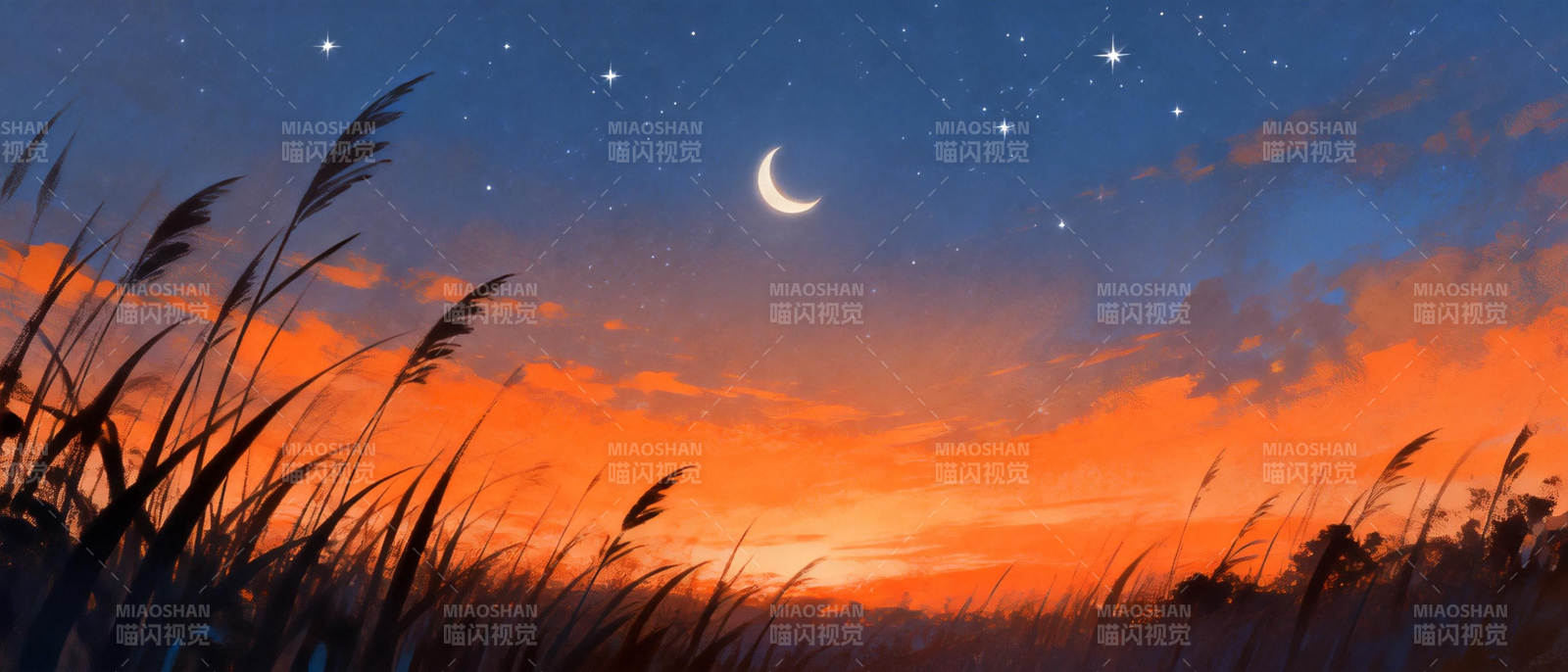 月下草原夜景图片