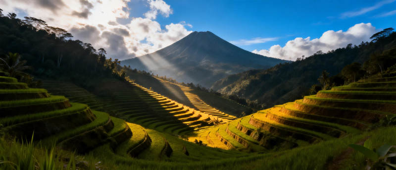 梯田风光 山峦叠翠图片