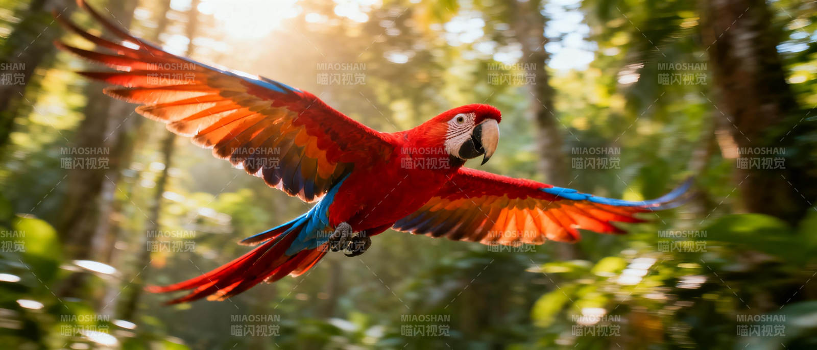 红鹦鹉翱翔森林图片