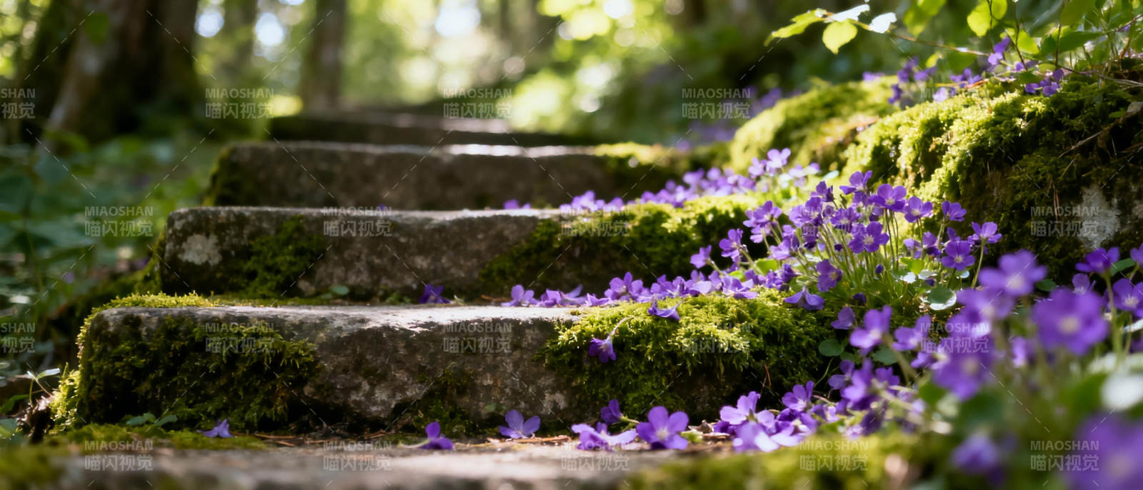 石阶花径幽静美图片