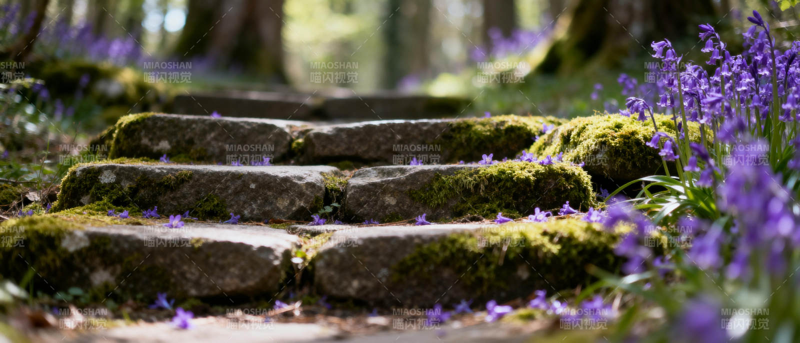 紫花石径幽林图片