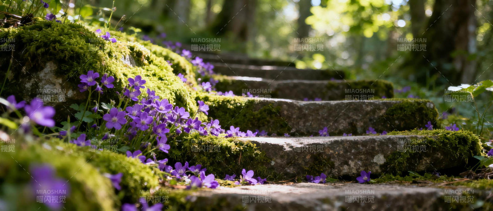 紫花石阶林间路图片