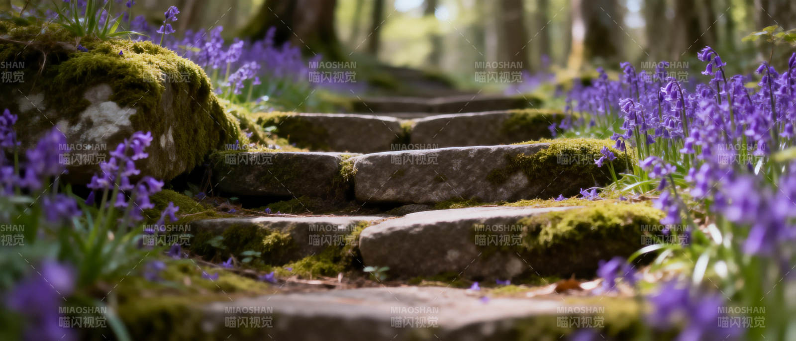 紫花石径幽林图片