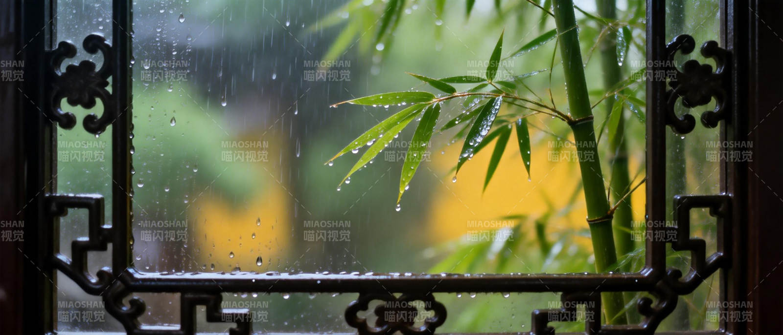 雨中竹影图片