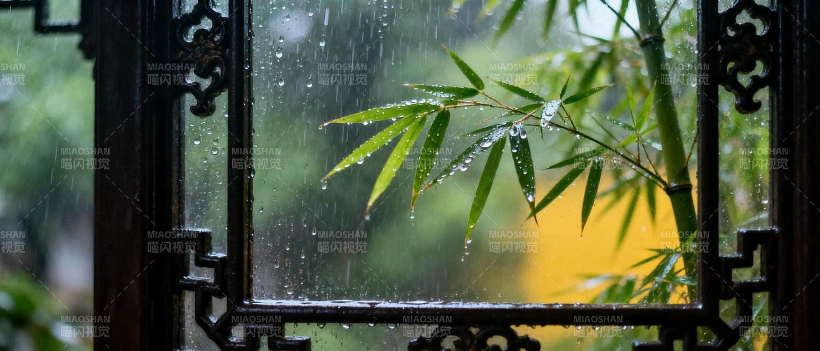 雨中竹影窗景图片