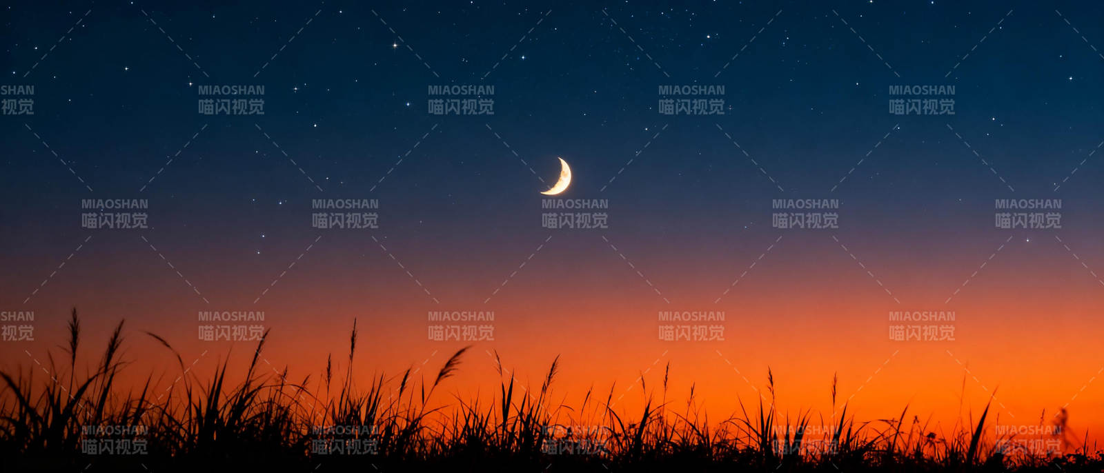 月升草野夜图片