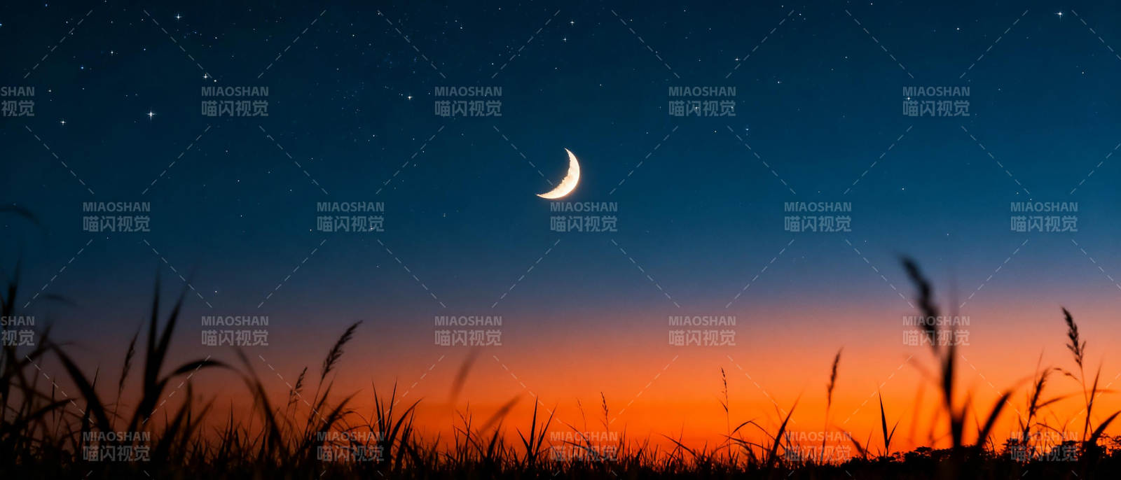 月升草野夜景图片