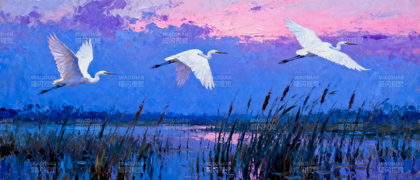 白鹭飞舞暮色中图片