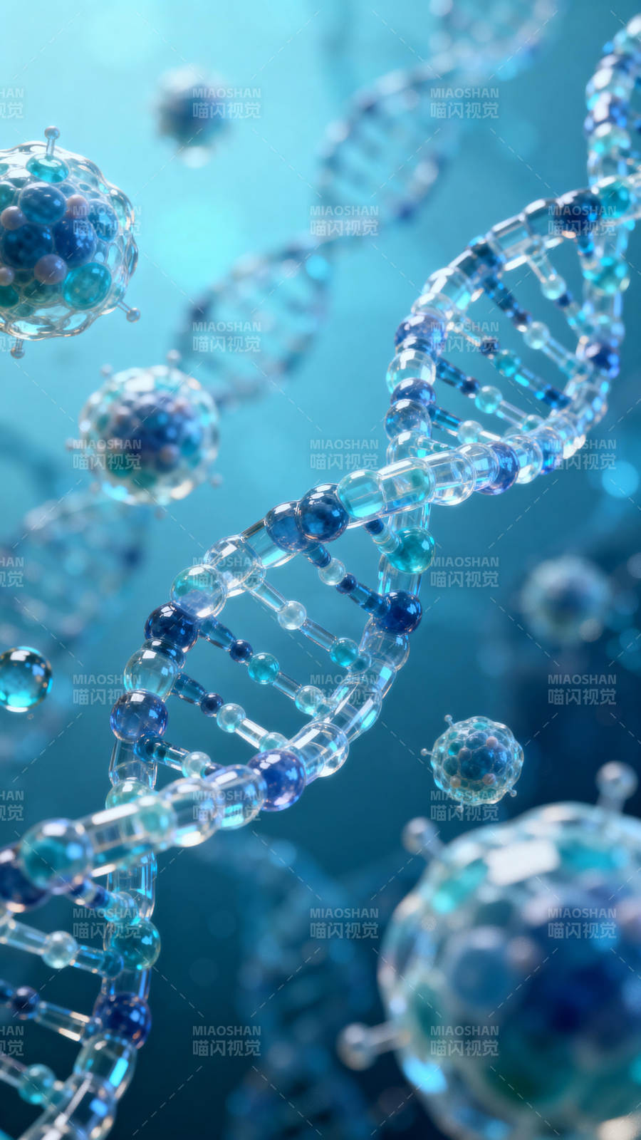 DNA双螺旋结构图片