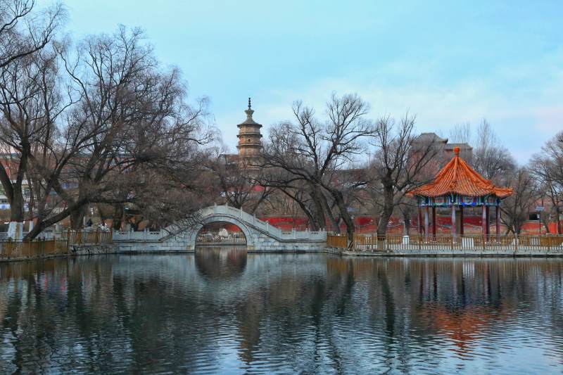 涞源县泰山宫美景.湖畔古塔映春景图片