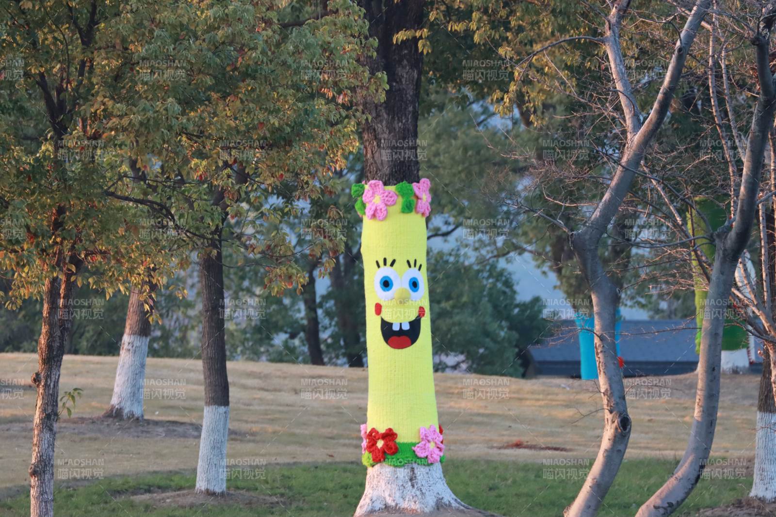 树干上的海绵宝宝图片