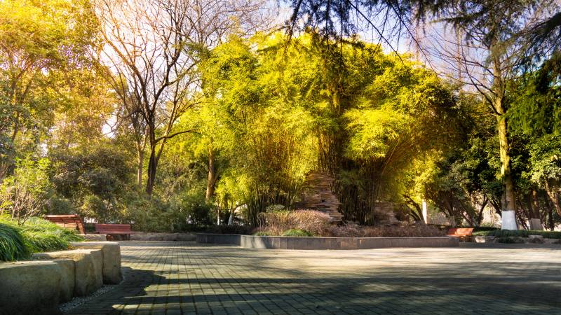 秋日公园静谧景芜湖赭山公园图片