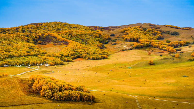 乌兰布统秋日山野风光图片