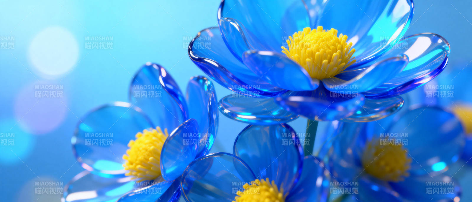 蓝花绽放 晶莹剔透图片