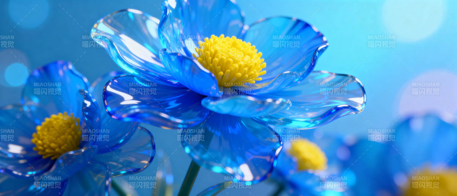 蓝色水晶花绽放图片