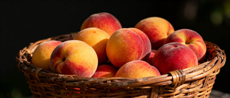 篮中鲜桃满溢图片