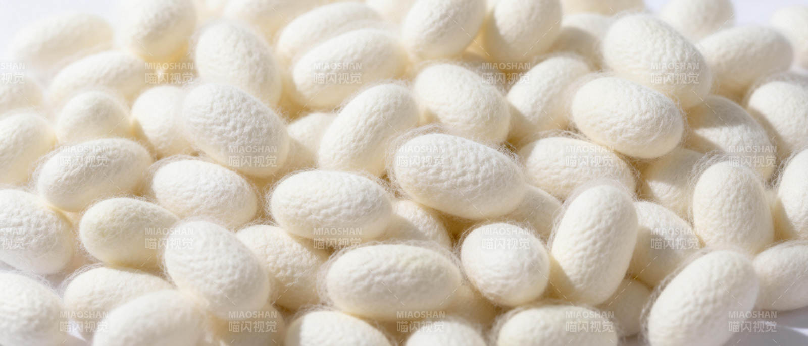 蚕茧堆叠特写图片