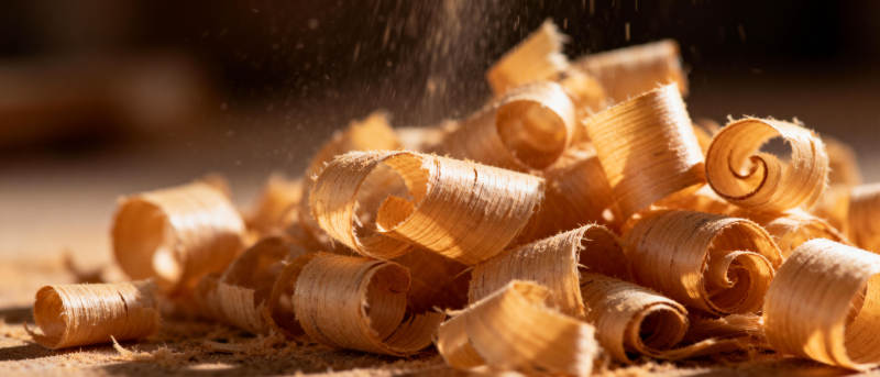 木屑飞舞图片