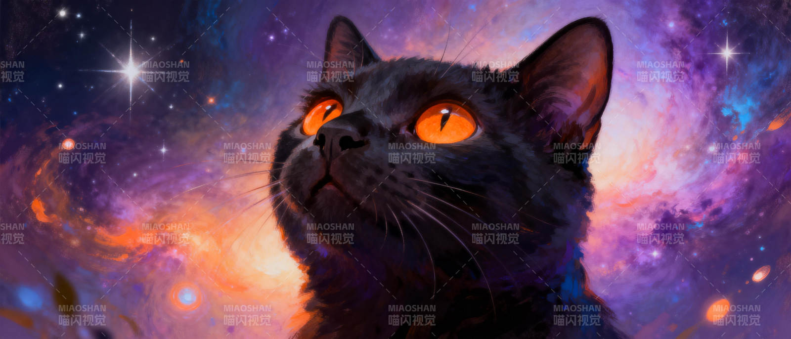 星空下的黑猫图片