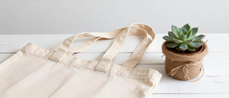 布袋与多肉植物图片