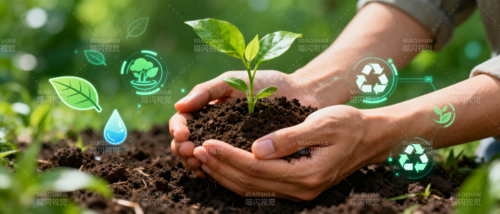 守护绿色未来图片