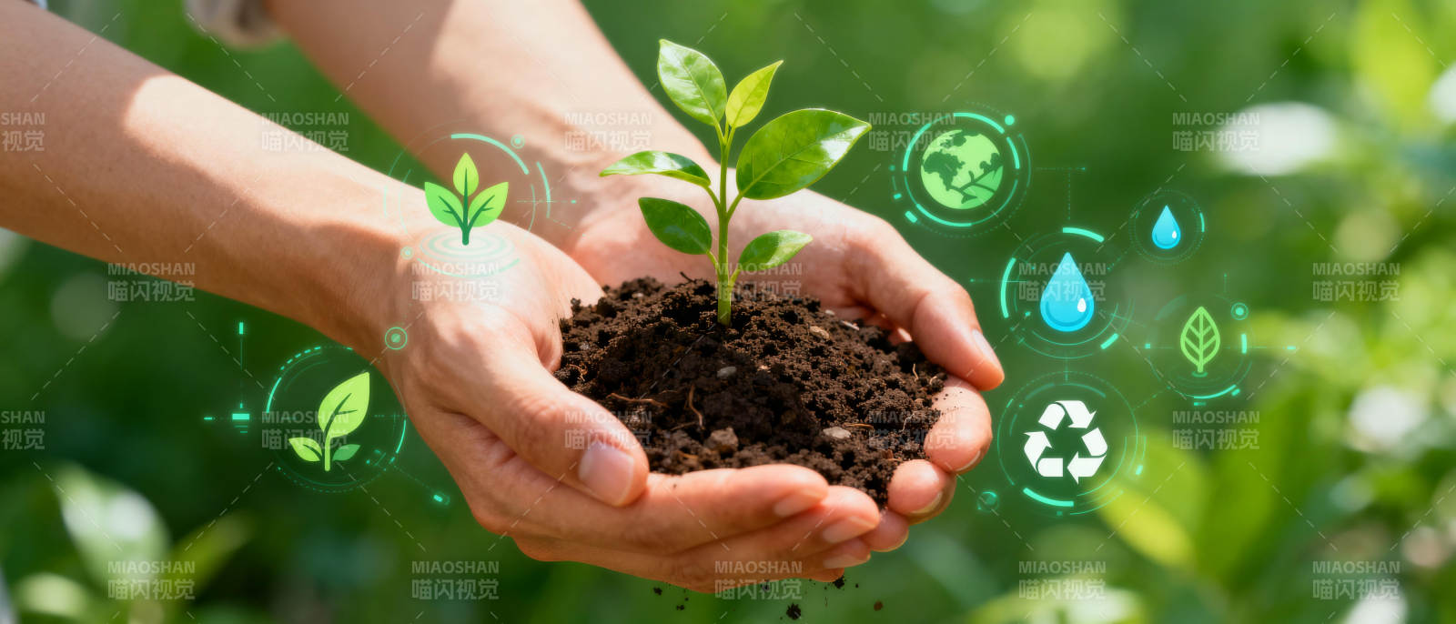 守护绿色未来图片