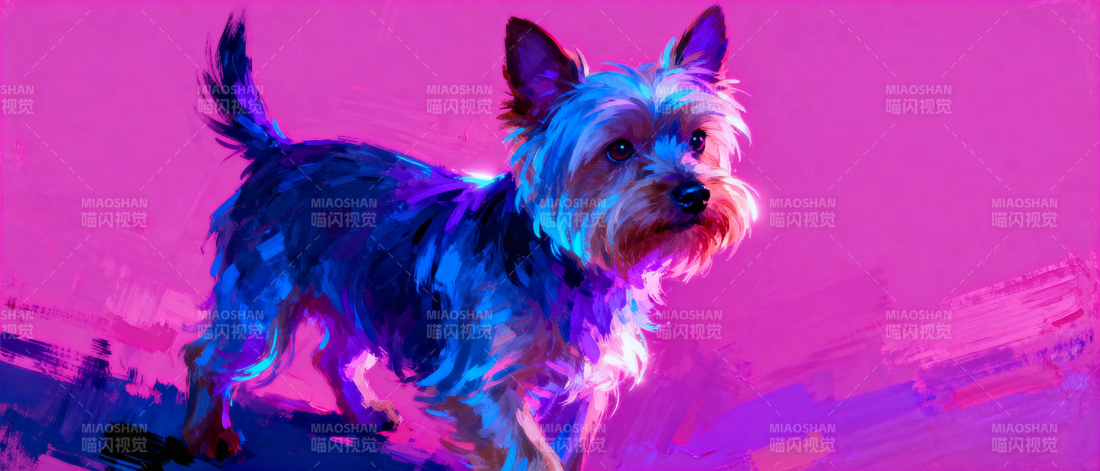 炫彩约克夏图片