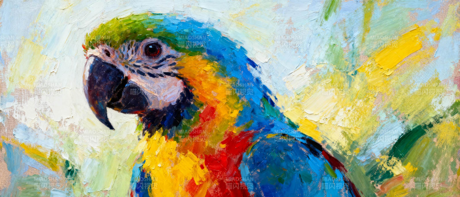 彩鹦鹉的斑斓世界图片