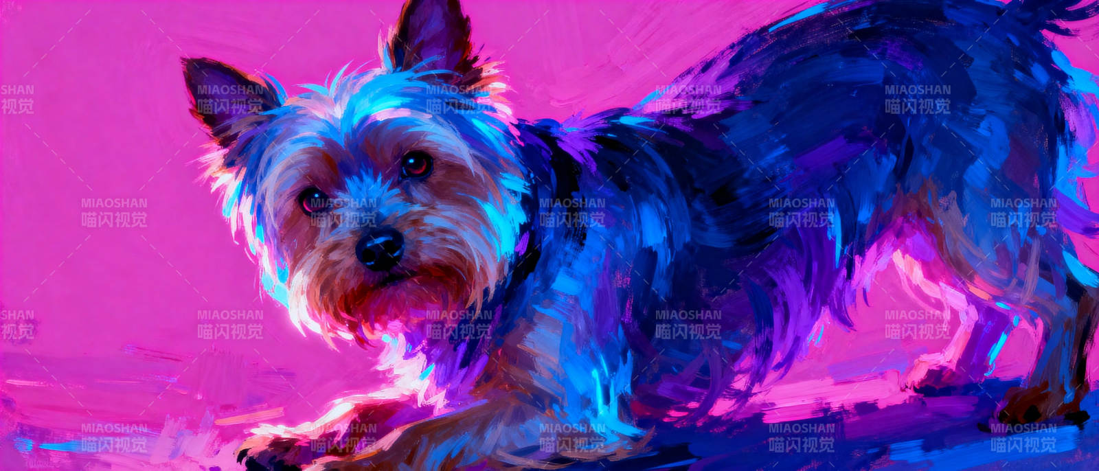 炫彩约克夏图片