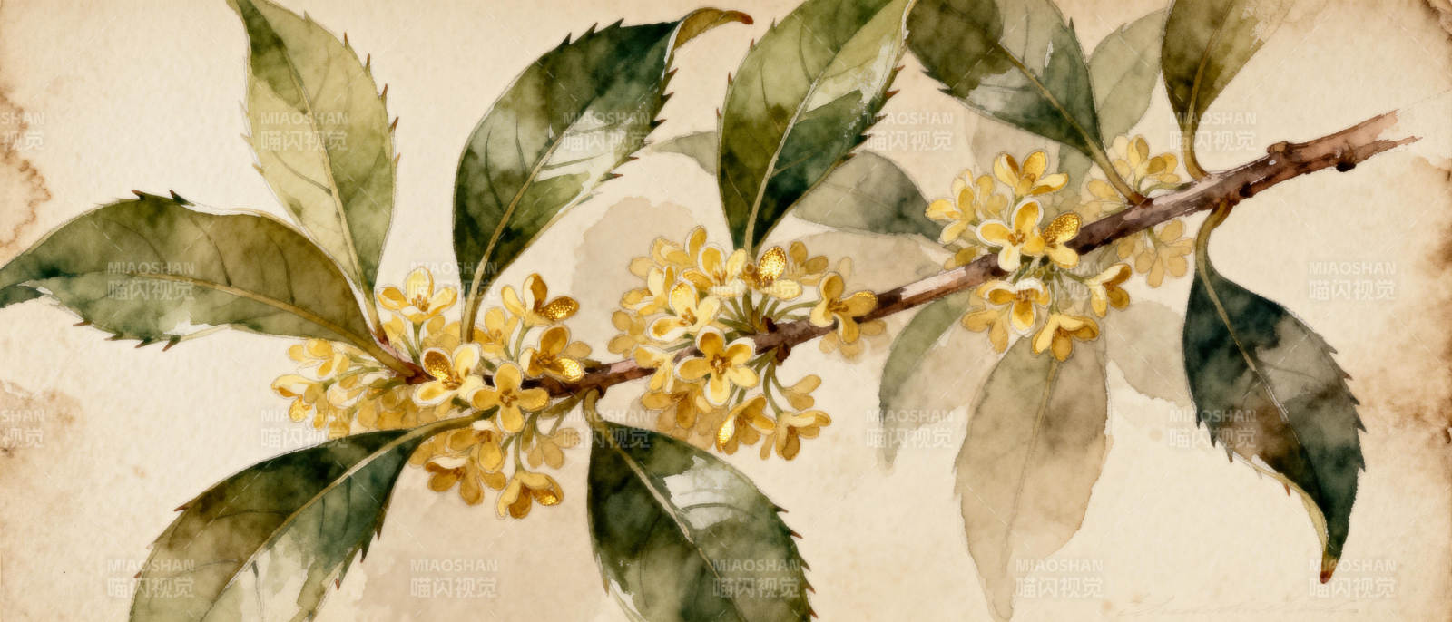 桂花枝头香满园图片