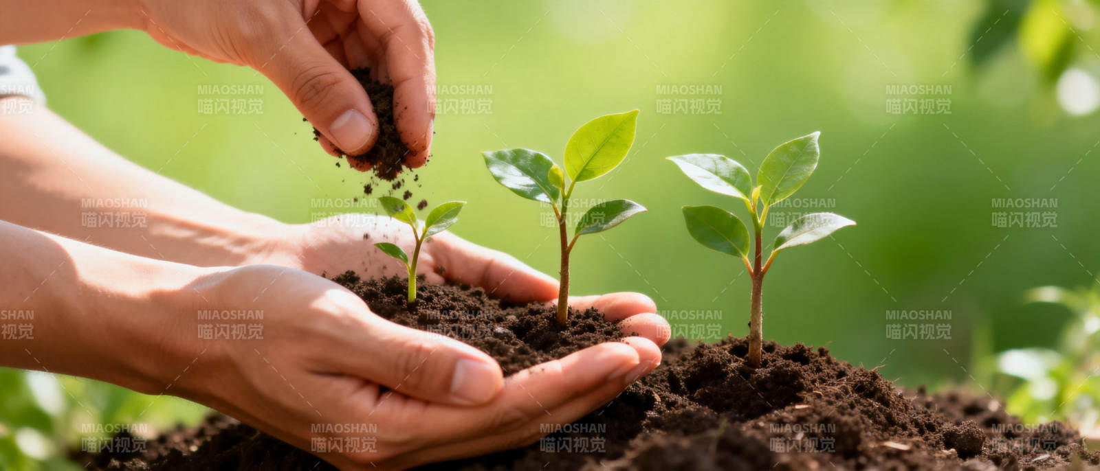 植树护绿 手护新生图片