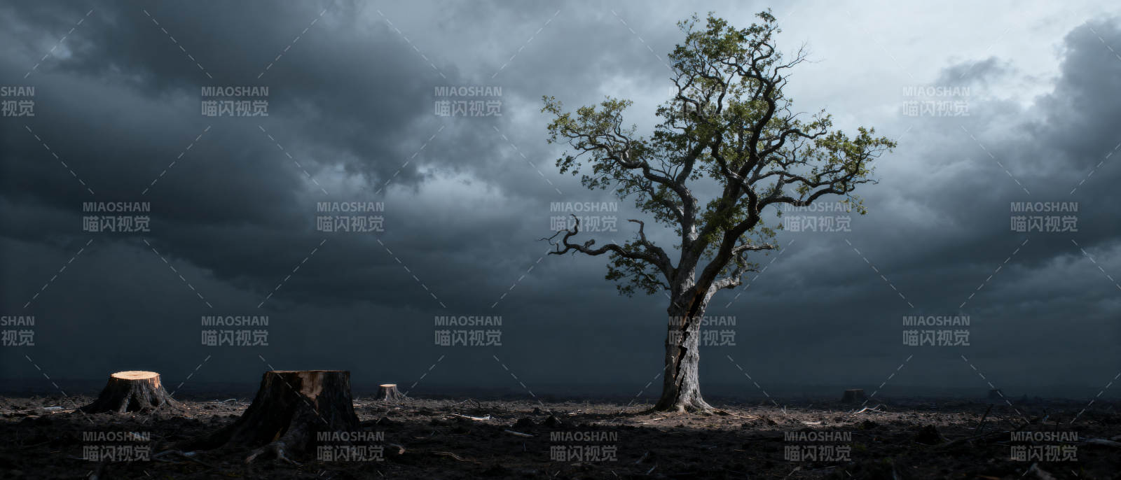 孤树残云图片
