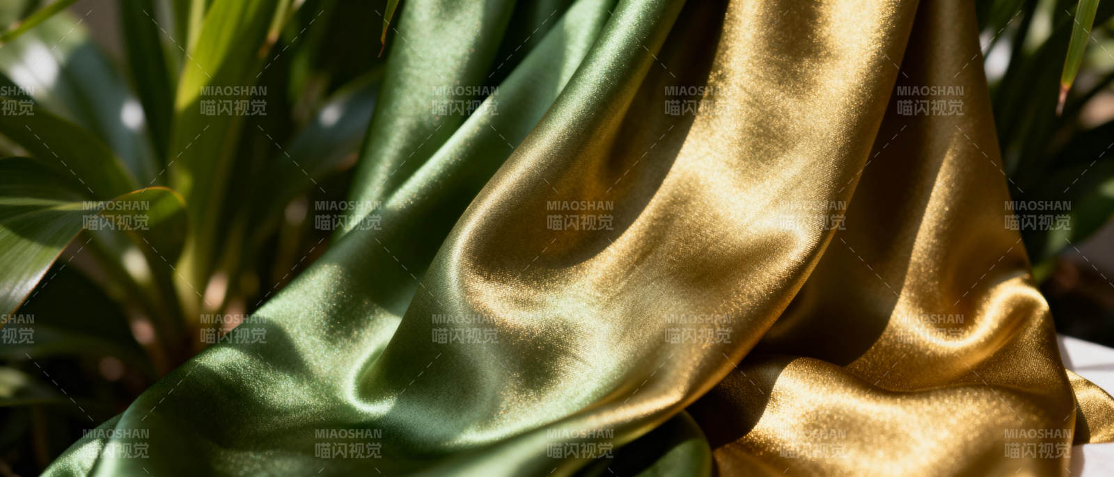 金绿绸缎映叶影图片