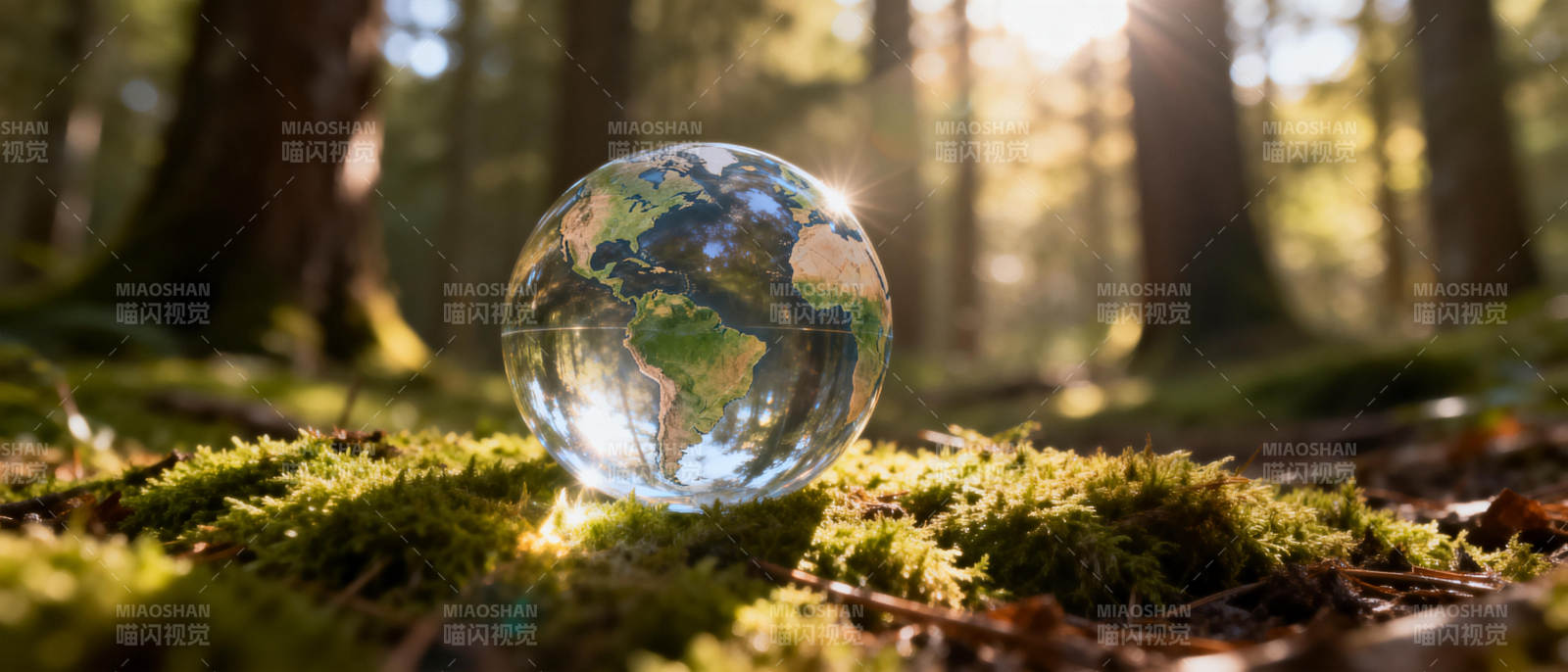 地球之镜 森林之眼图片